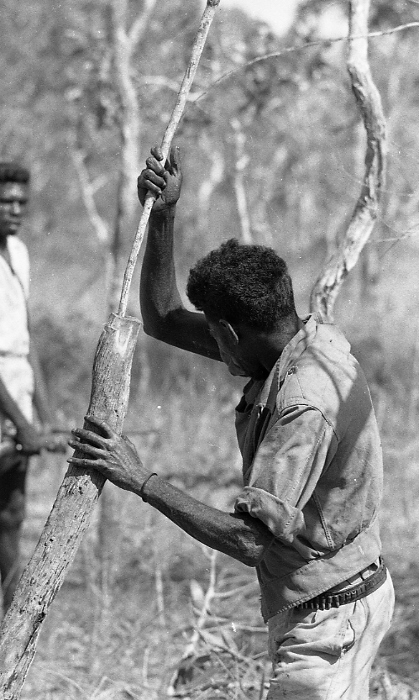 Arrama Ngalmi and Laalbid Nunggargalu make a didgeridoo 